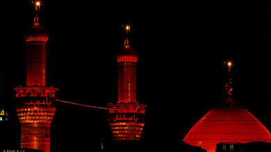 اربعین حسینی در کربلای معلی