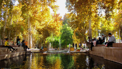 پاییز هزار رنگ در سرچشمه محلات شهر گل ها