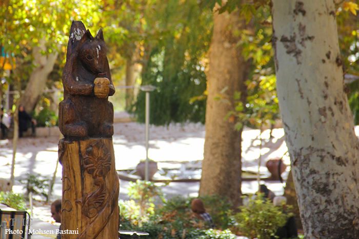 پاییز هزار رنگ در سرچشمه محلات شهر گل ها