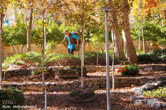 پاییز هزار رنگ در سرچشمه محلات شهر گل ها