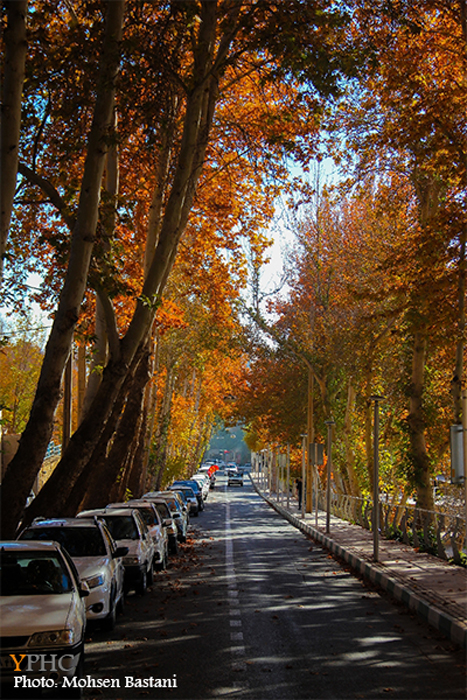 پاییز هزار رنگ در سرچشمه محلات شهر گل ها